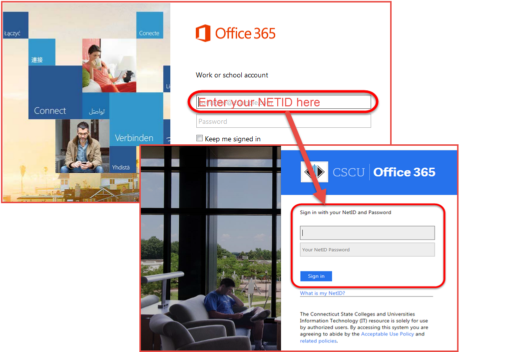 How to Log in to Office 365  Information Management Systems and